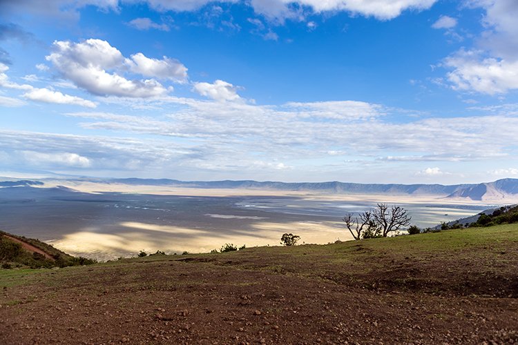 TZA ARU Ngorongoro 2016DEC25 004